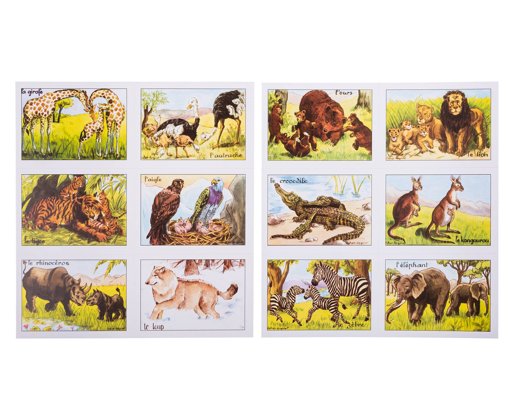 02 AP-003 Animaux sauvages